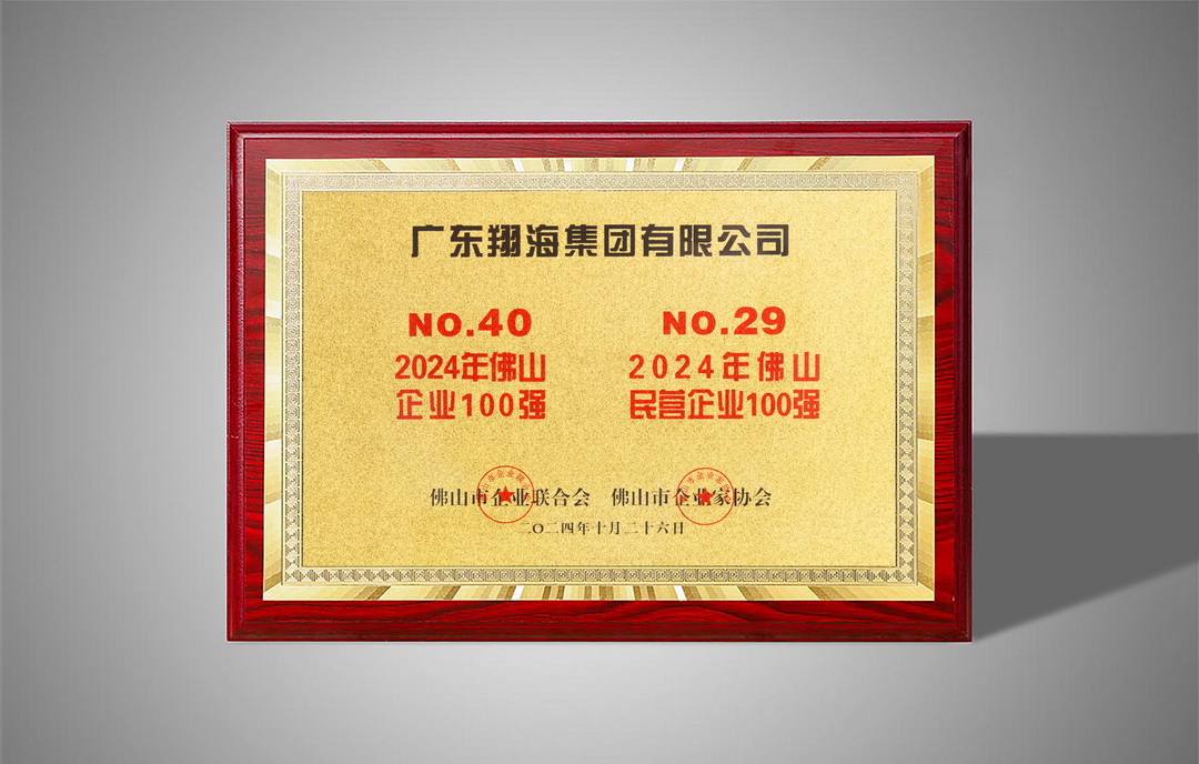 Top 100 Enterprises in Foshan in 2024